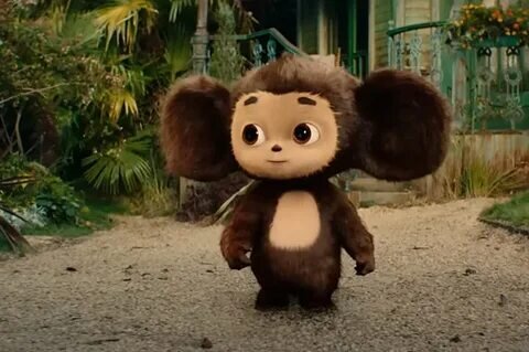 Изображение взято с просторов Интернета 