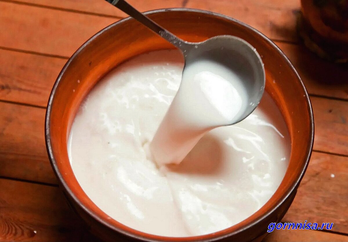    Домашний Катык из коровьего молока Pavlov A