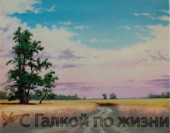 фото из личного архива автора