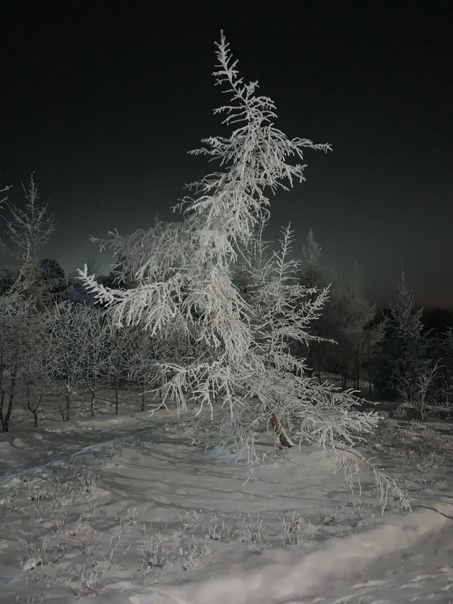 Фото: Светлана Воронина