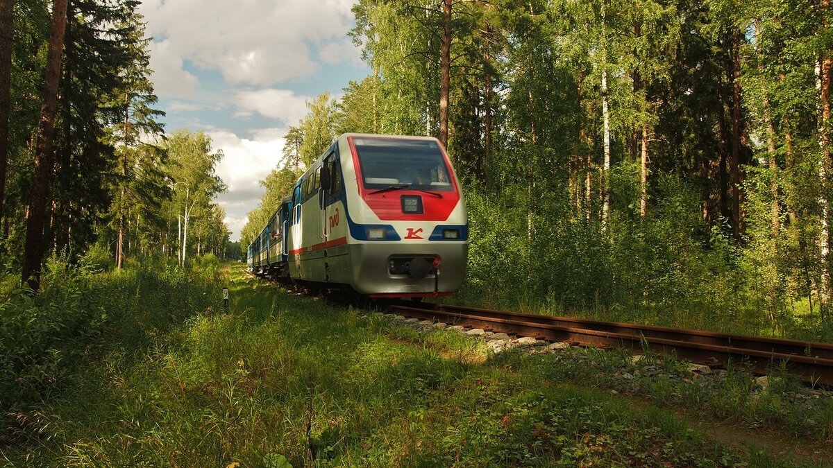 Топ-5 типов экологически чистого городского транспорта | Уральский завод  противогололедных материалов | Дзен