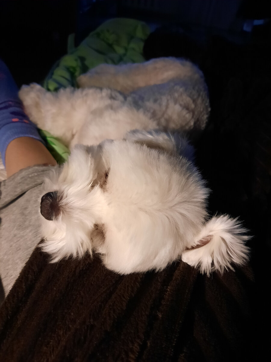 Фото автора.