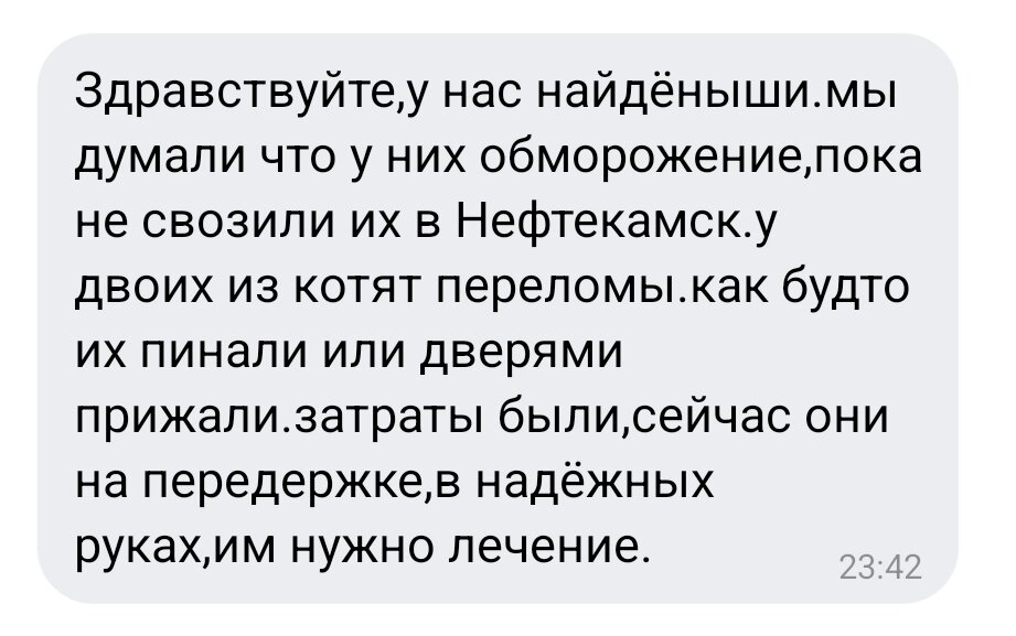 Вот такая история котят из Дюртюлей😢