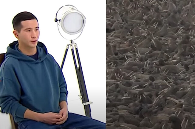    Максим Арбугаев. кадр видео