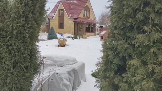 Мы дома! Обхожу сад. Кажется, есть потери...🥺