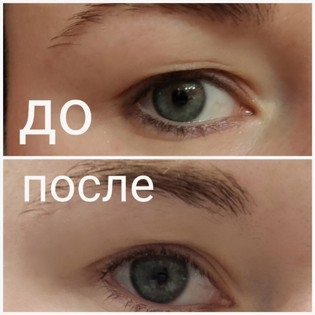 Отращиваем ресницы. Отчет после 15 дней использования масла для роста ресниц.  | Красота не требует жертв ❤️ | Дзен