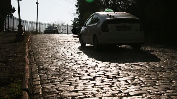    © photo: Sputnik / Stringer