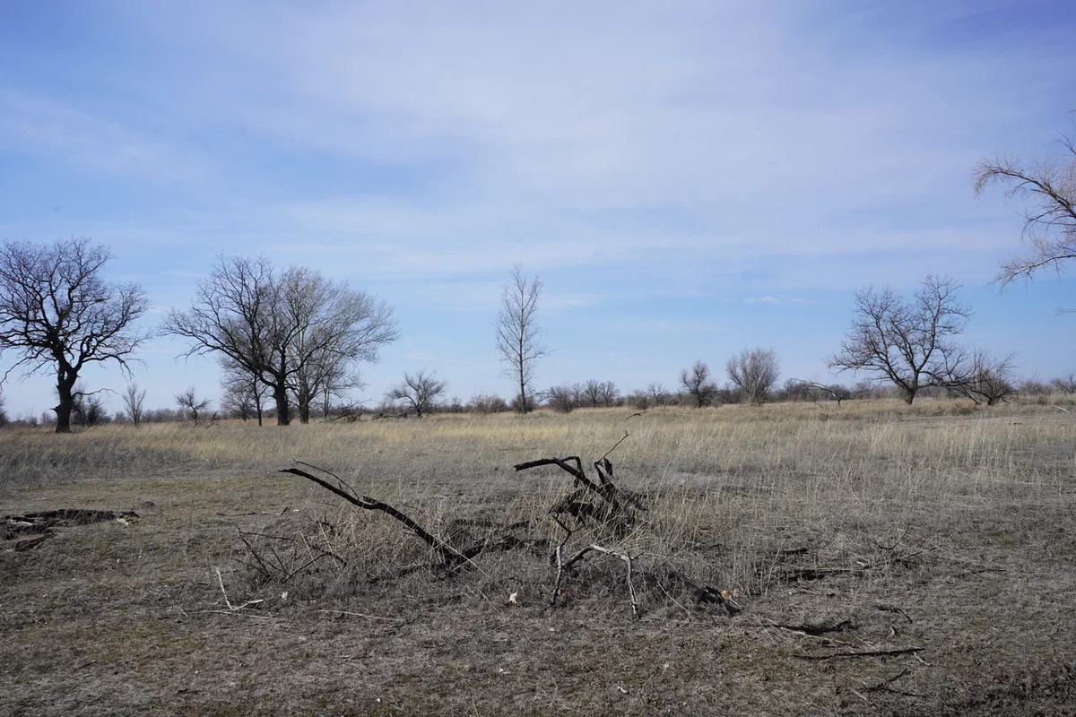 Авторское фото волгоградского ученого и фотографа Елены Попковой: https://www.saatchiart.com/account/artworks/1599809