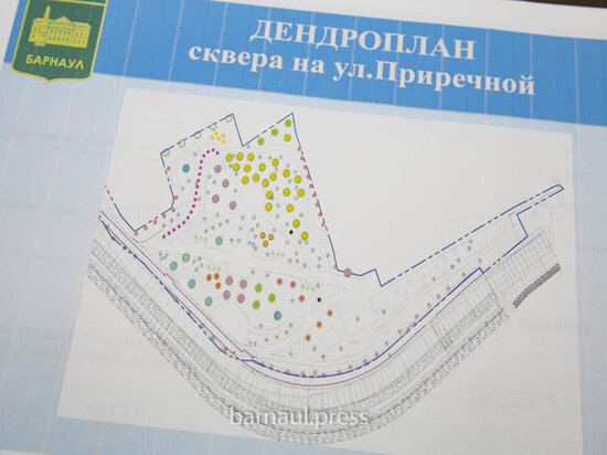     barnaul.org