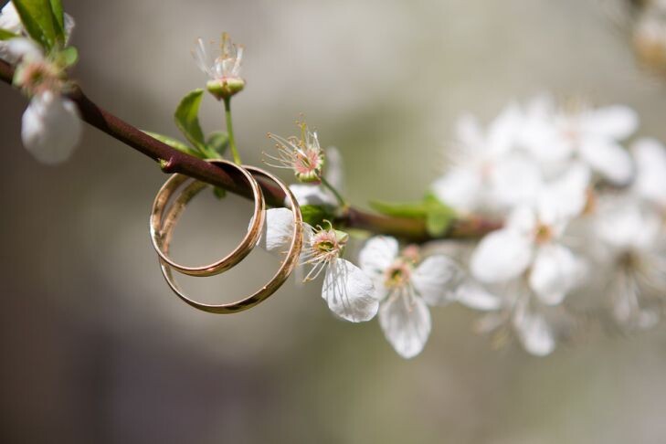 Фото: Pixabay