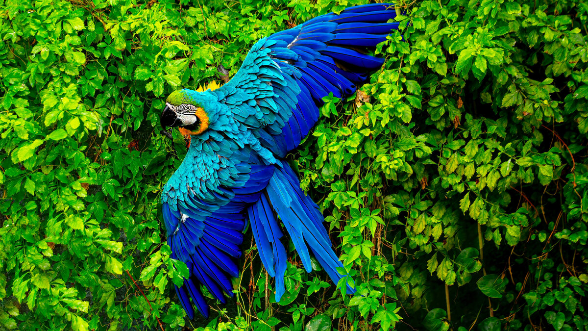 Photo by Hassan Pasha on Unsplash