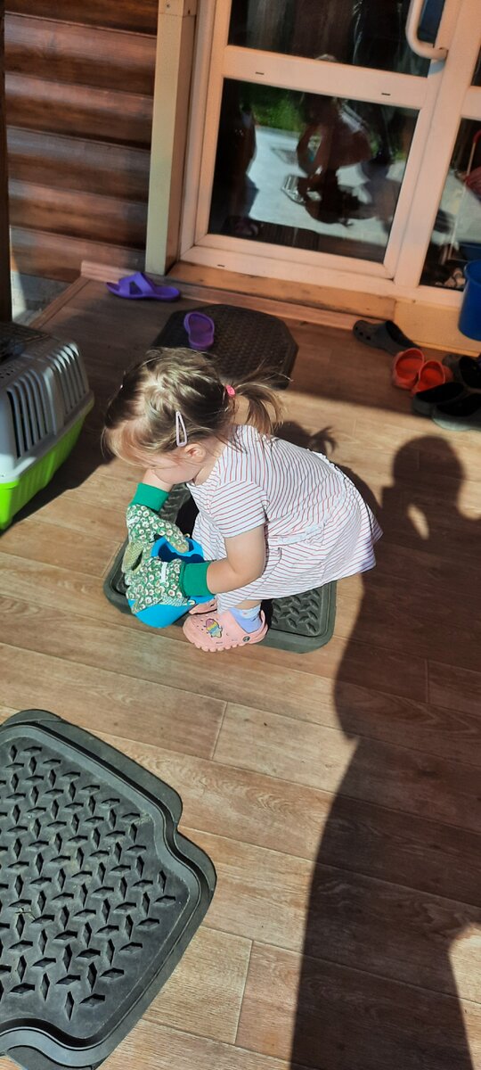 Помощник главного огородника