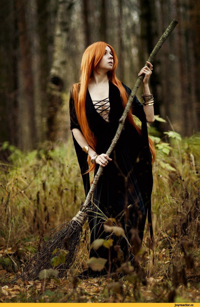 Фото из свободных источников