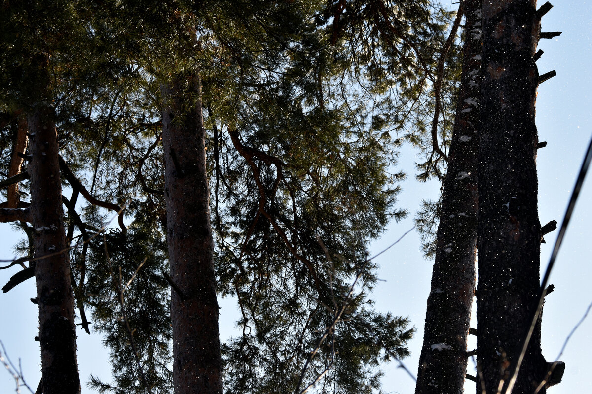 Снежинки 2/2