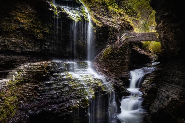  Автор фото: Александр Ипполитов