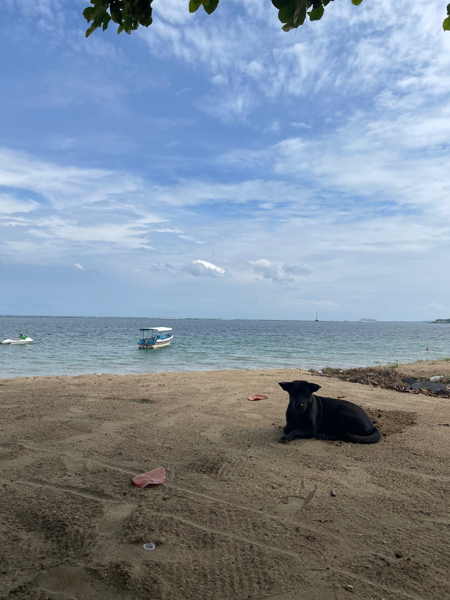 Как вам такой отдых 