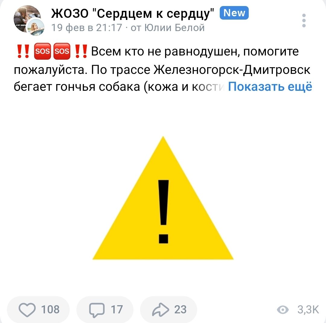Попытки помочь собаке
