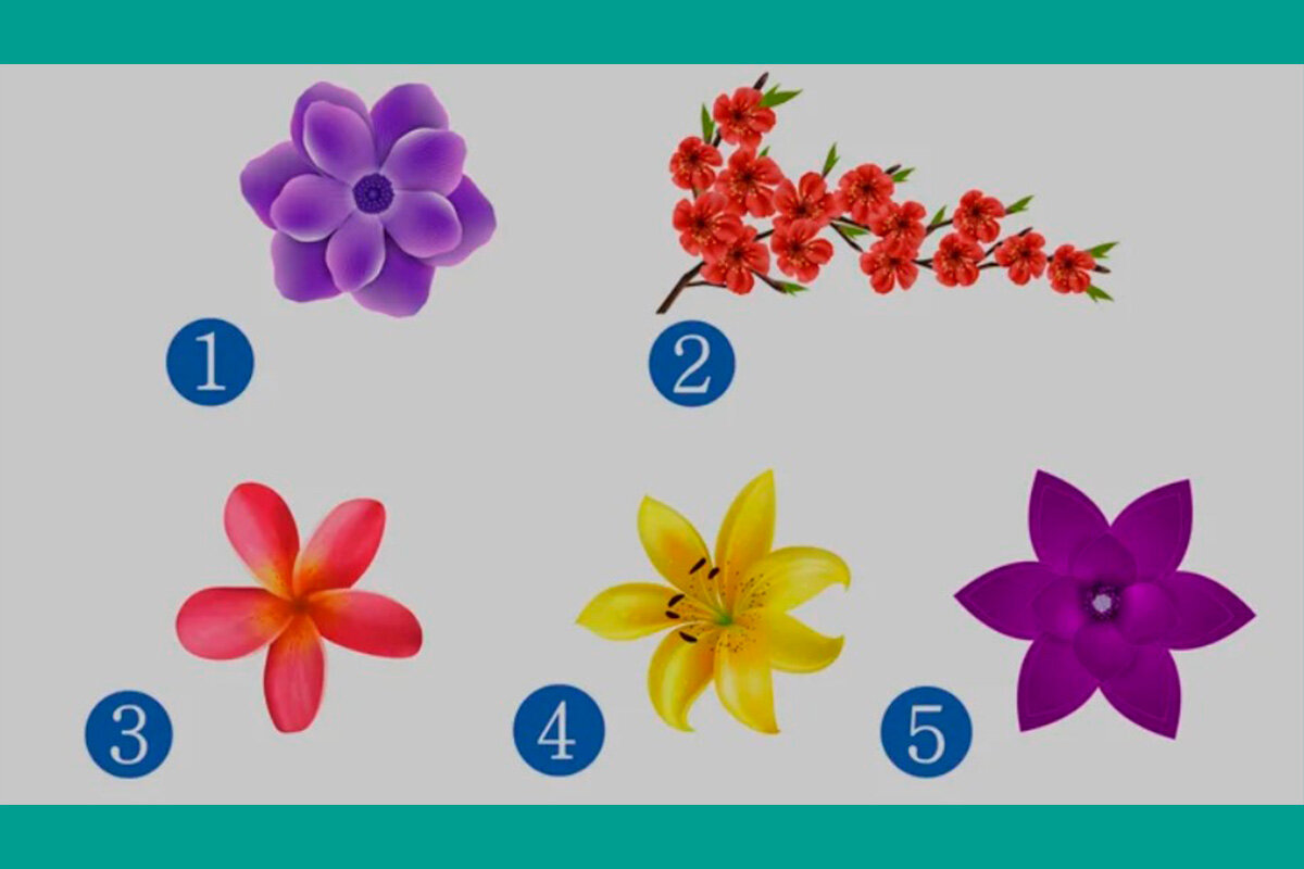 тест выбери цветы. тест выбери цветок. цветочный тест. цветочный тест в картинках. тест выбери цветы.