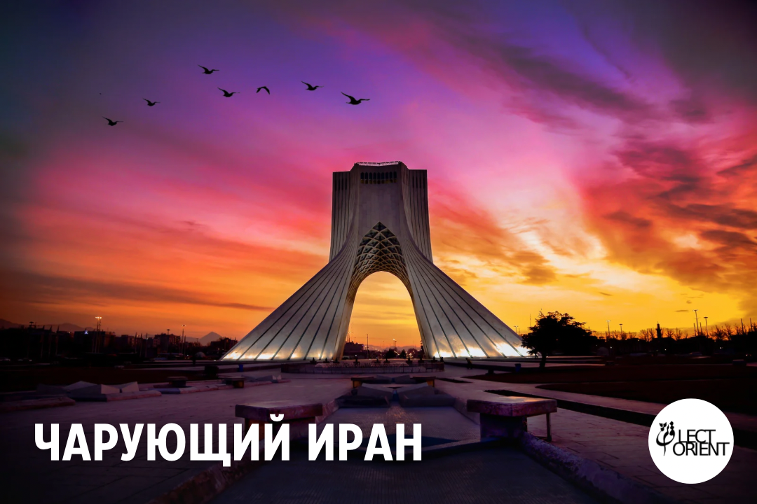 Фото взято из открытого фотостока  Canva