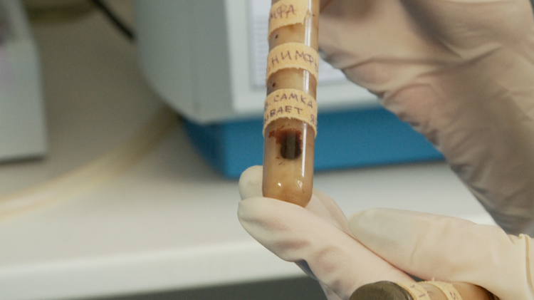 Фото: ИА "Тюменская линия"