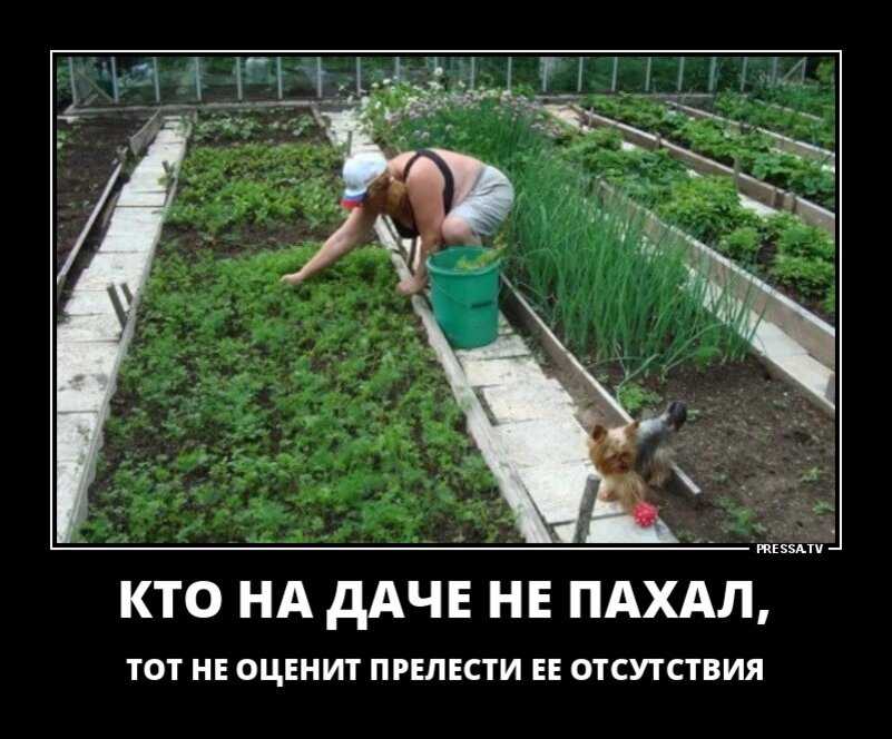 Прикольные картинки про садоводов и огородников