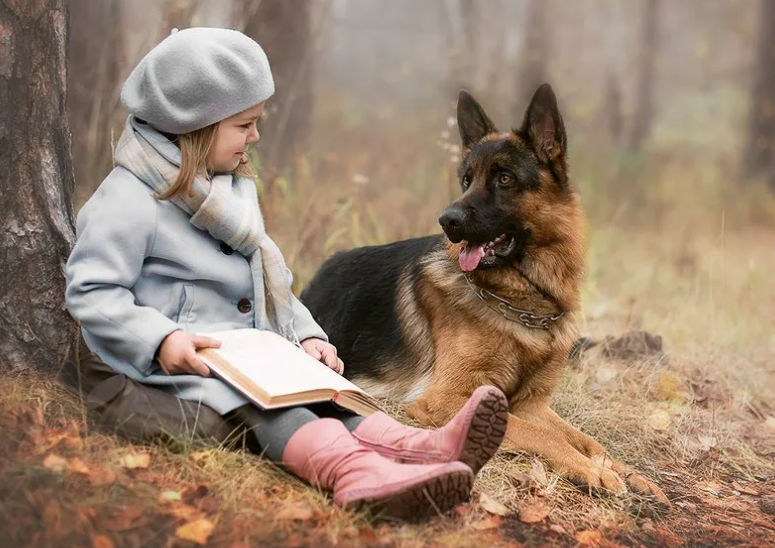 Что может шуршать в стене дома