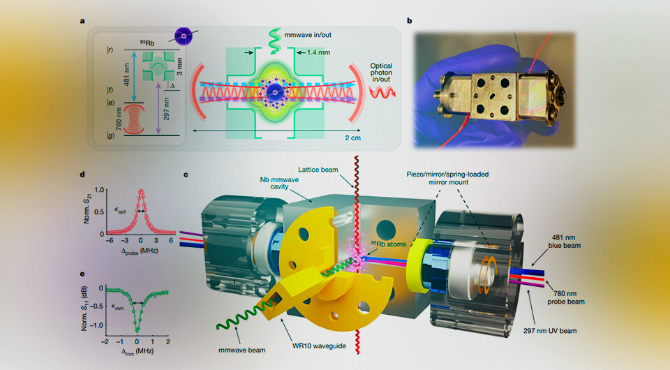   Aishwarya Kumar et al. / Nature; N + 1, 2023