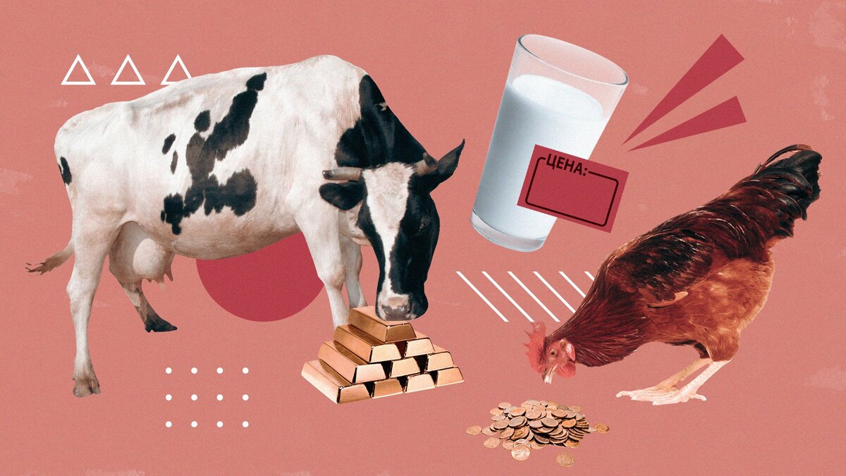 Фото: Сергей Лычак / ИА «Победа26»