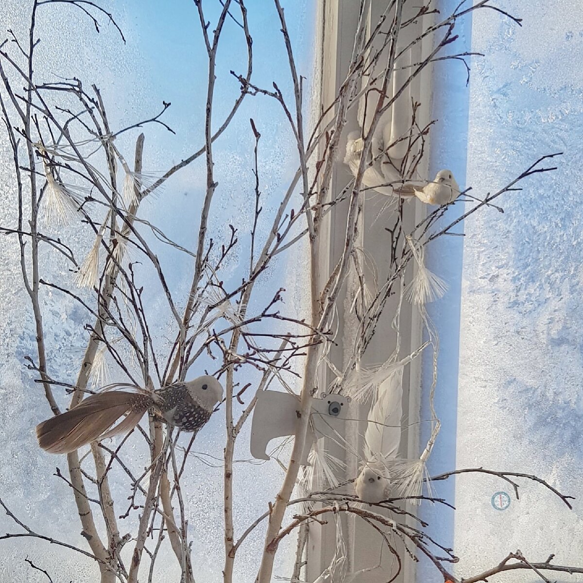 Морозец бодрит.