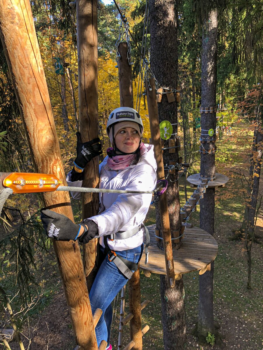 В детстве о таком можно было только мечтать. Лазанье по деревья было моим любимым занятием на летних каникулах!