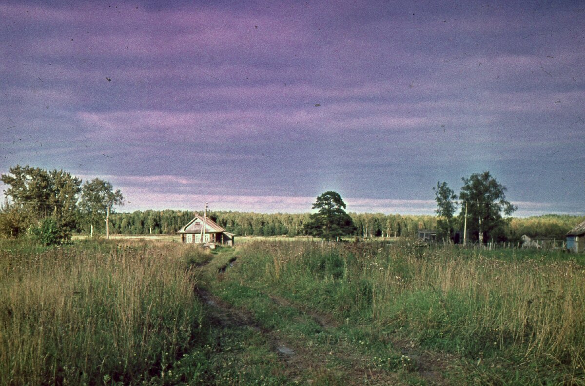 Фото Александра Алексичева.