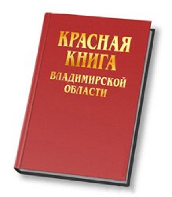 Животные красной книги владимирской области с фото