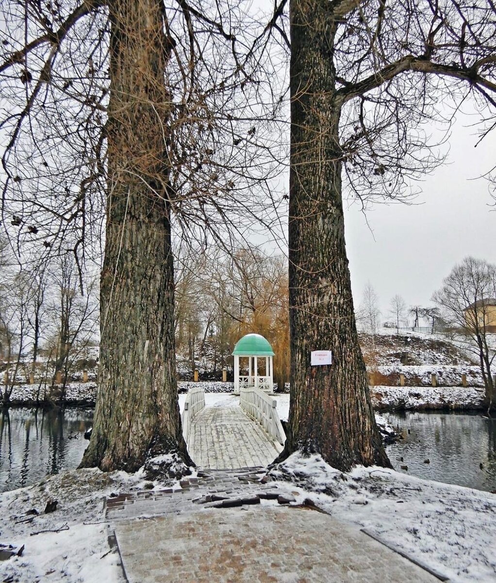 Усадьба Тютчева