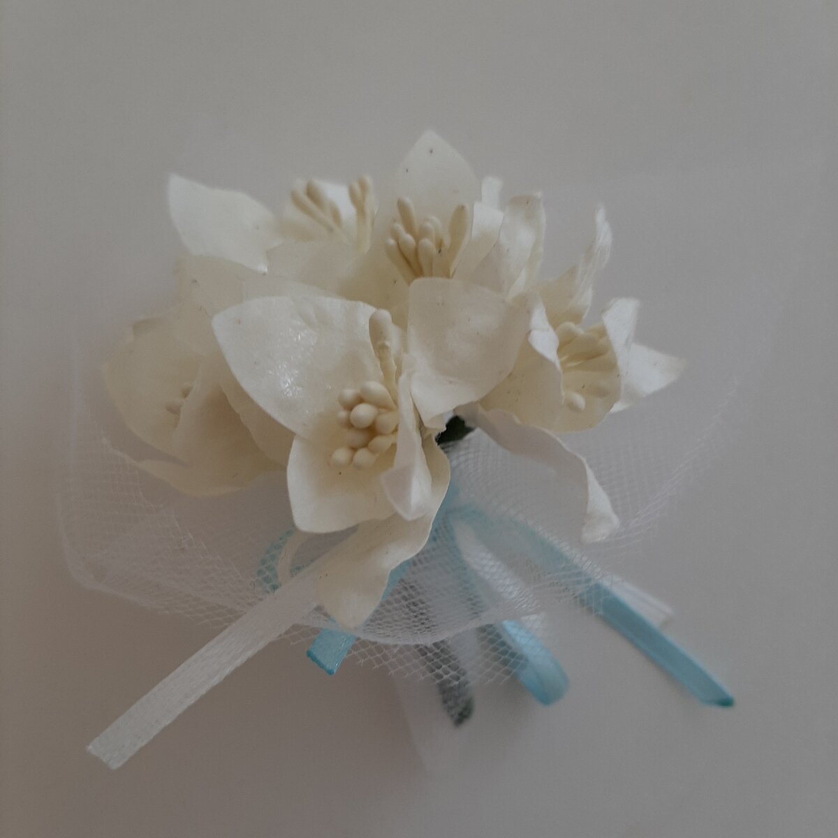 Вот он, красавец