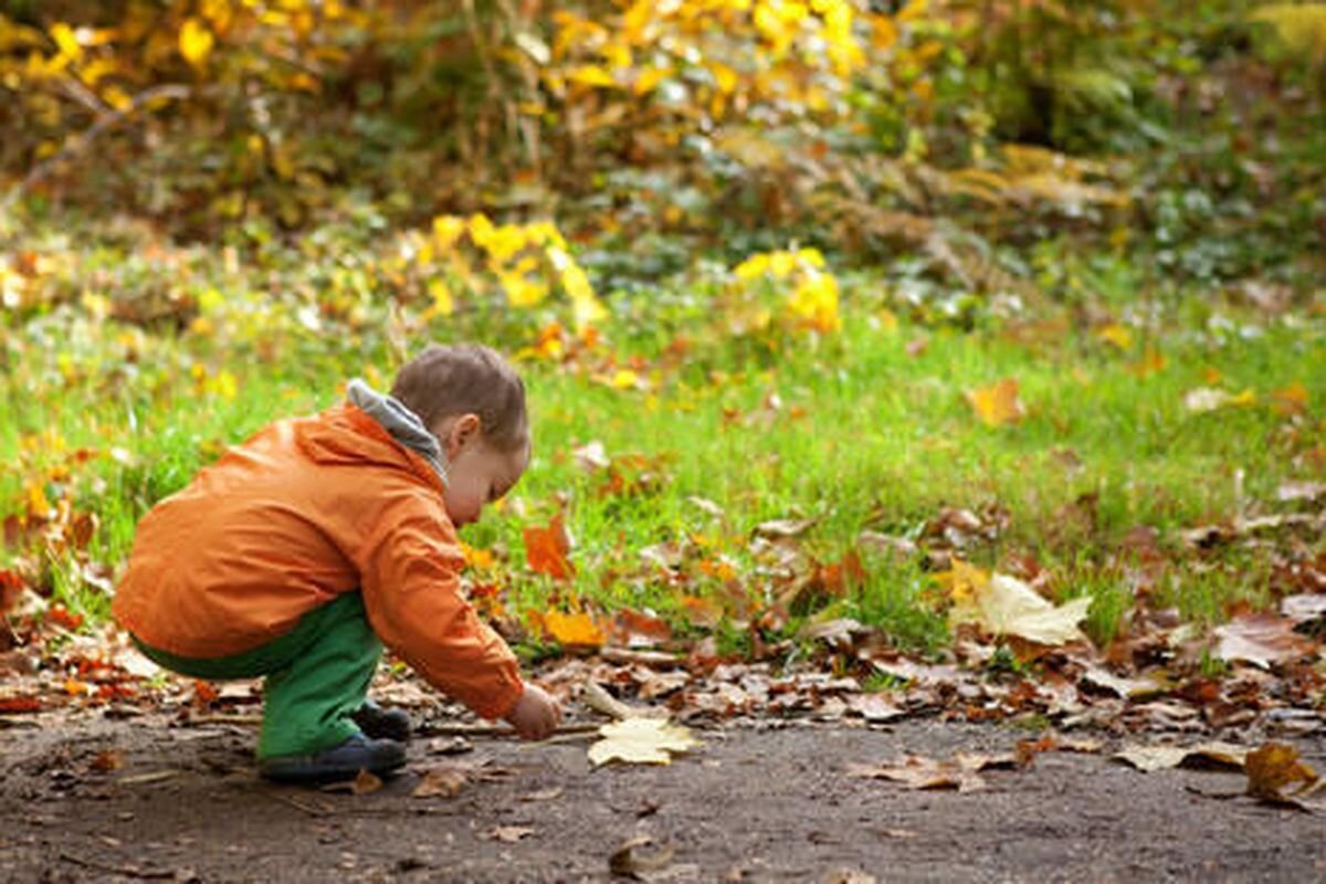 Фото взято: https://www.deseret.com/