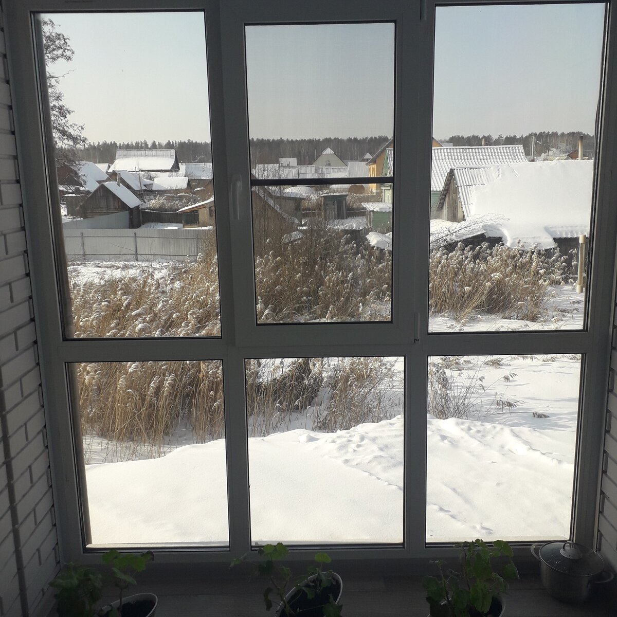 Из личного архива