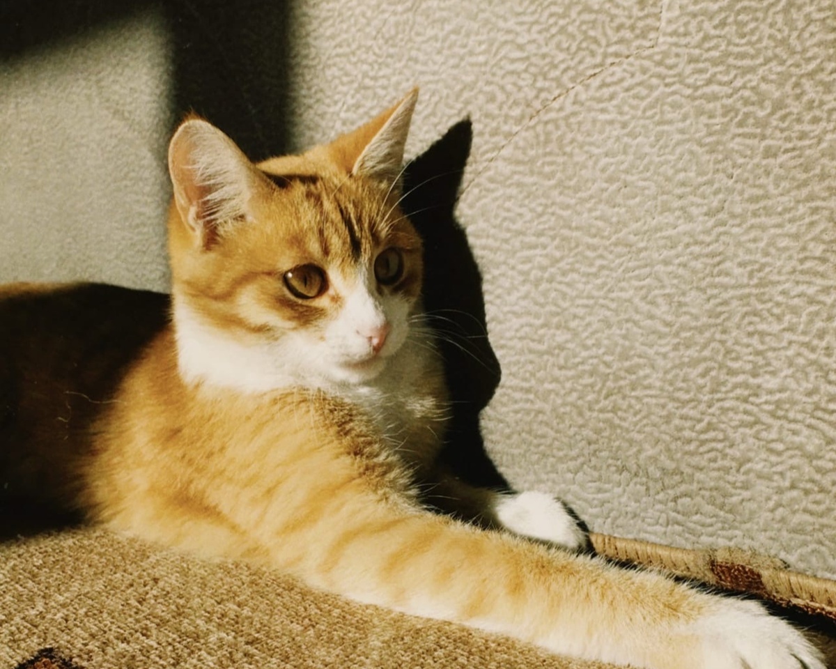 Так она выглядит сейчас! 