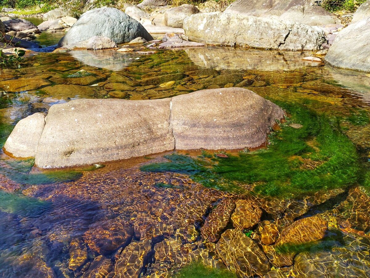 Речной мох в реке Хуой Тан, коммуне Мау Сон, район Лок Бинь северо-восточной провинции Ланг Шон.