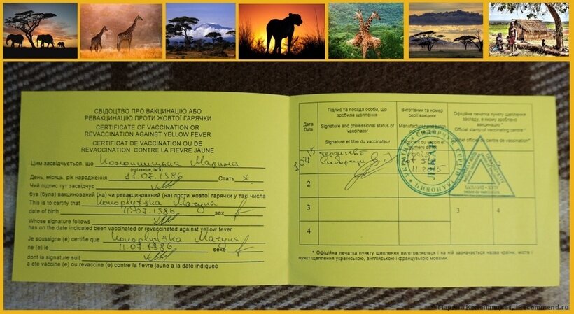 фото из инета