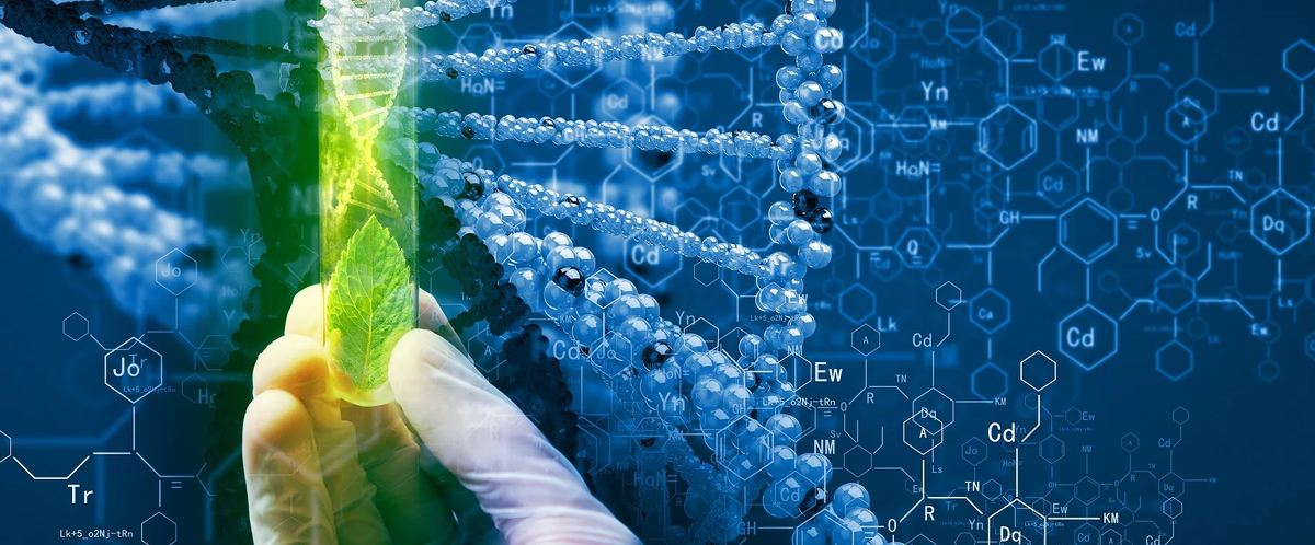 Биохимия и биотехнология. Химия фон. Современные биотехнологии. Химический фон. Молекулярная биотехнология.