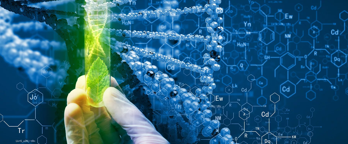 Биотехнология новых материалов. Химия фон. Современные биотехнологии. Химический фон. Молекулярная биотехнология.