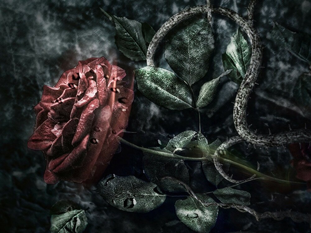 Источник: Яндекс картинки