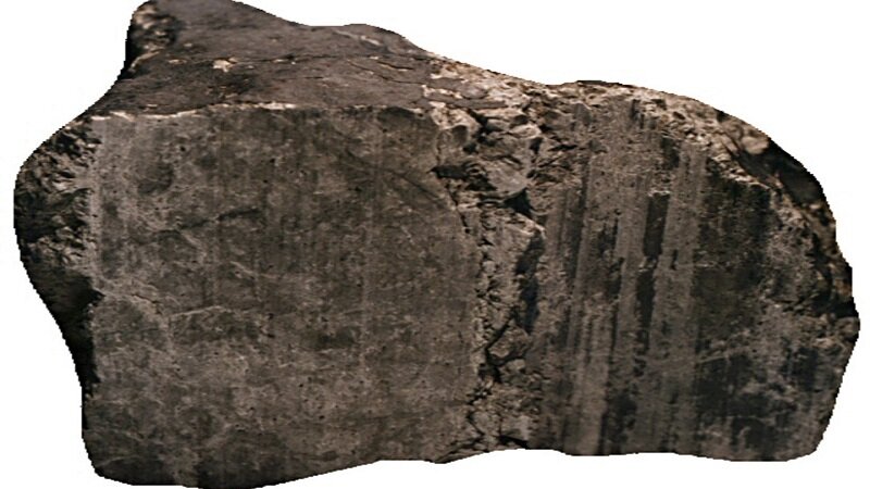  АLH84001 (самый известный марсианский метеорит)