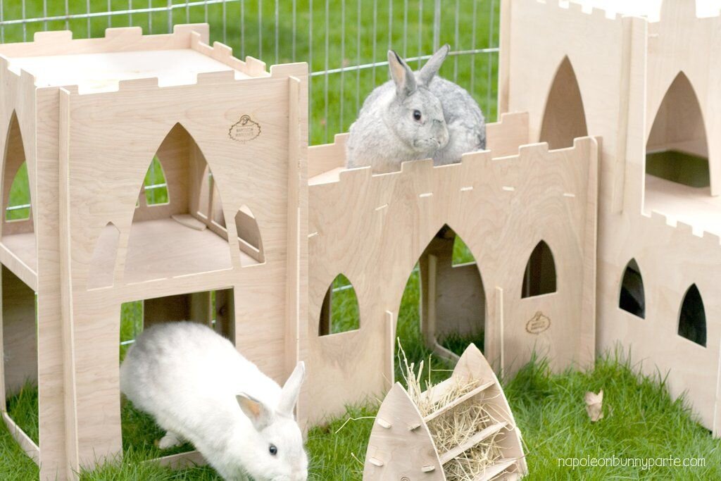 Casa para conejos interior
