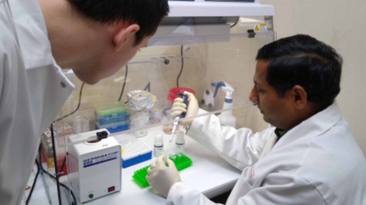 Фото:www.uga.edu Аспирант кафедры патологии растений УГА Оуэн Хадсон (слева) и научный сотрудник Эмран Али (справа) помог разработать более быстрый протокол обнаружения фузариозного увядания с помощью ПЦР-анализа.