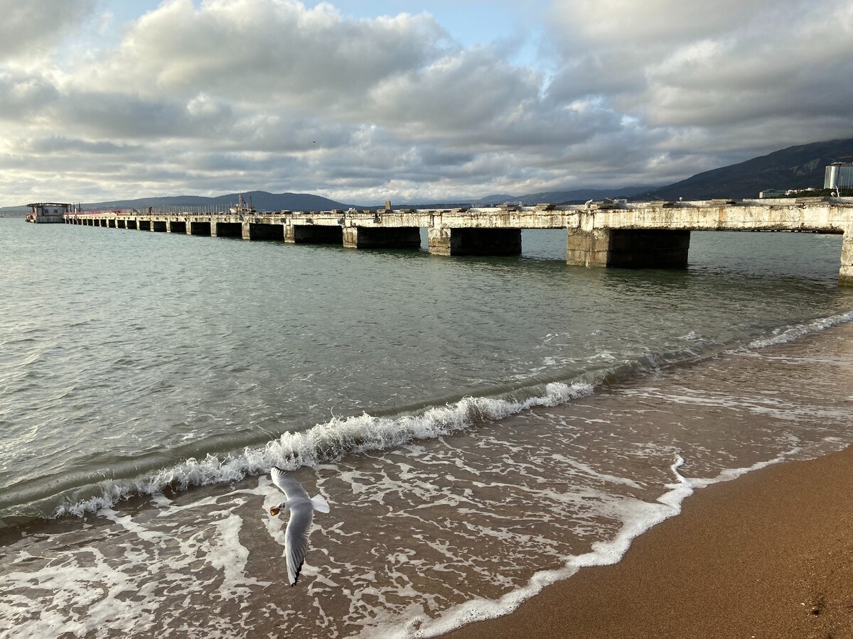 Геленджик сегодня - КОНЕЦ ЗИМЫ! Погода, море, обстановка в центре. Красивые  кадры | GDETONAMORE | Дзен