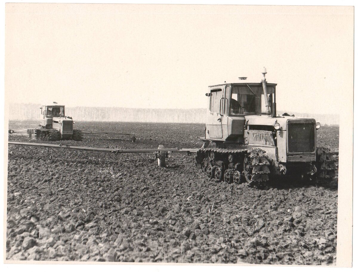 Фото из Яндекс Картинок