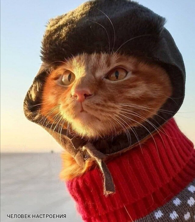 ЧЕЛОВЕК НАСТРОЕНИЯ