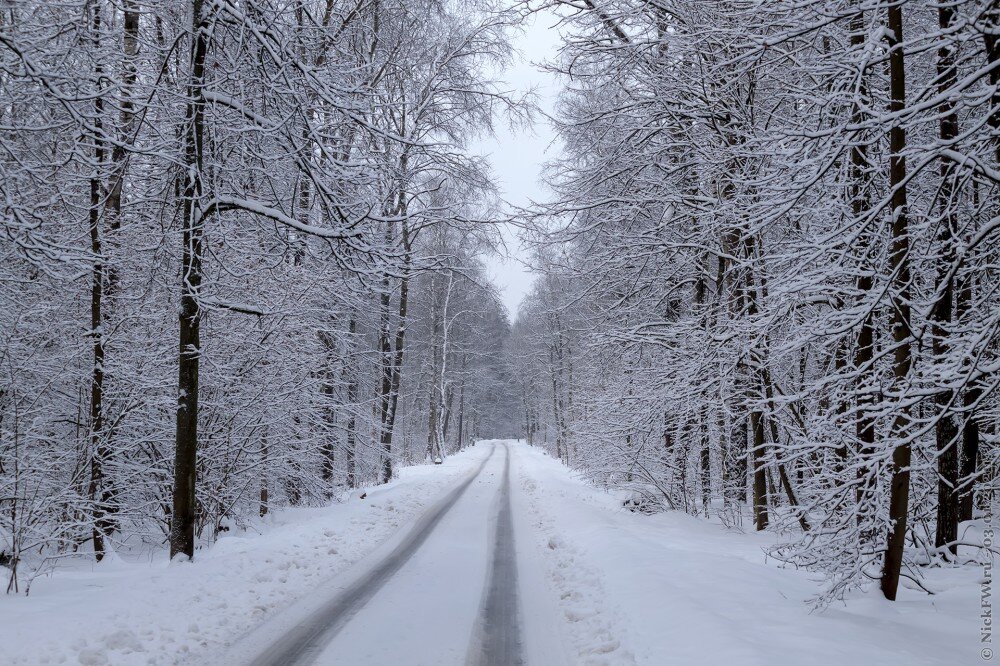  1. Ульяновский лесопарк © NickFW.ru — 03.01.2021г.