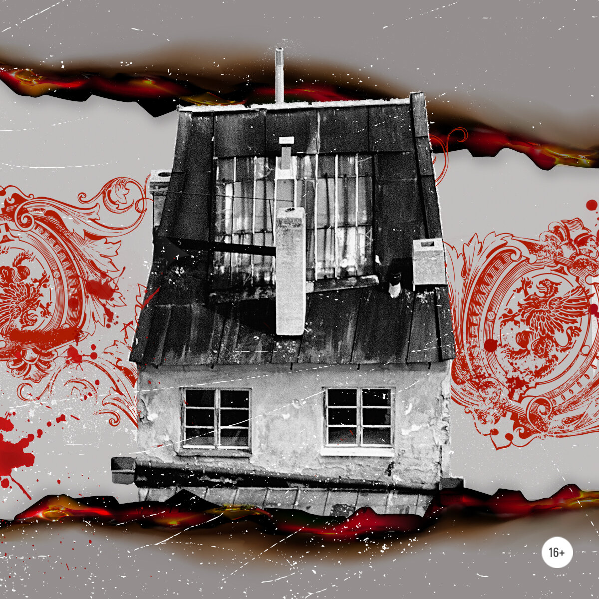 Иллюстрации: Ольга Кириллова